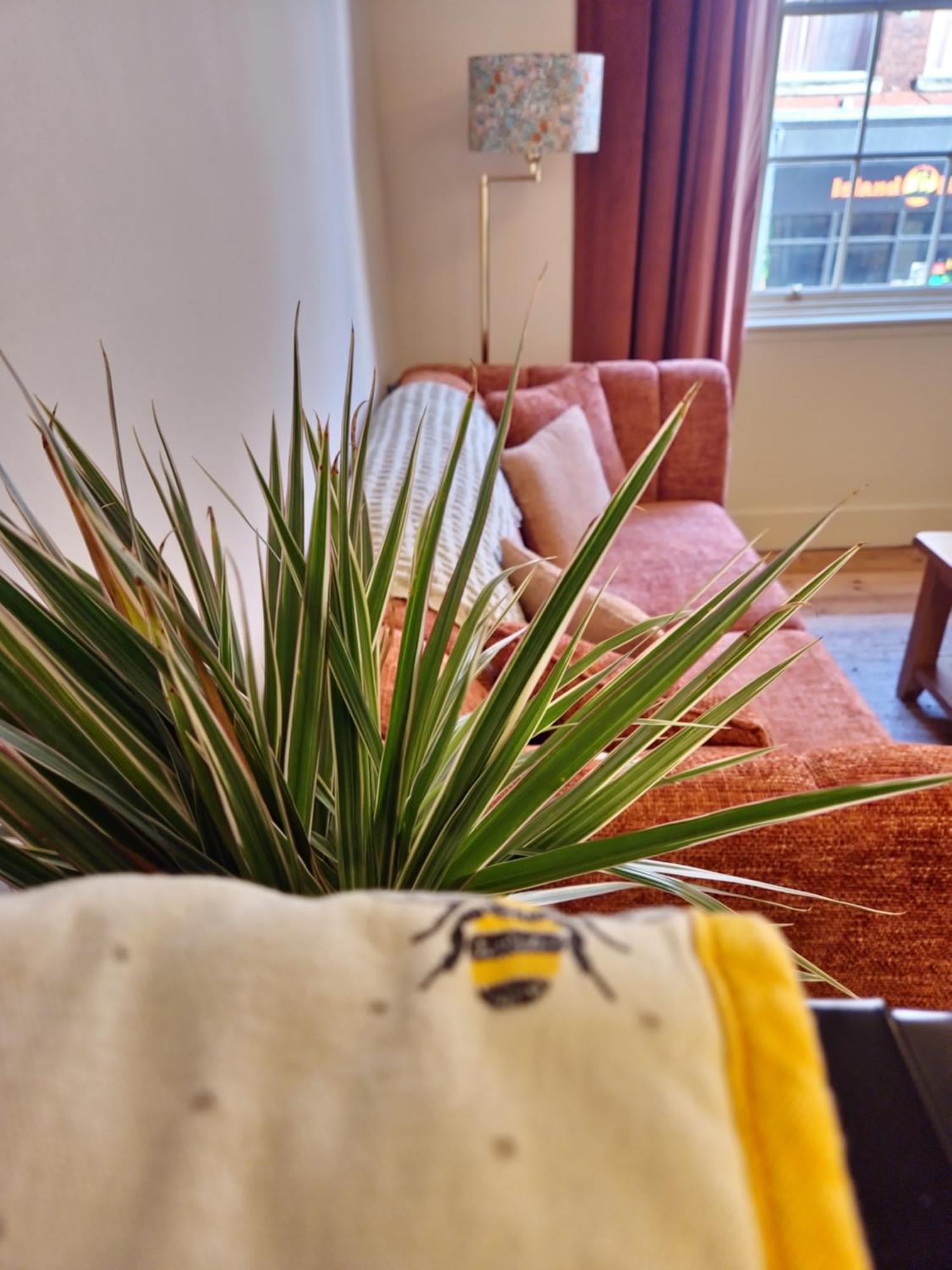 Central Gloucester Self-Catering Flat - A Hidden Gem Exterior foto